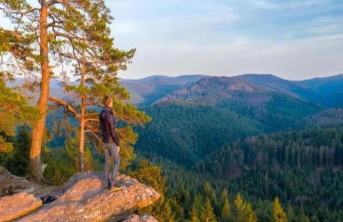 Chalet in Dabo near Castle Ruins - Photo 24