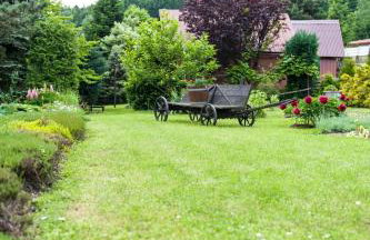 Agroturystyka Wzgórze Magnolii - Foto 16