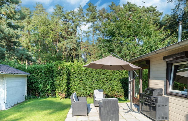 Peaceful Nature Escape in Meijel - Photo 24