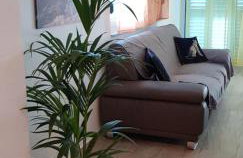 Yellow Cube Holiday Apartments - Foto 27