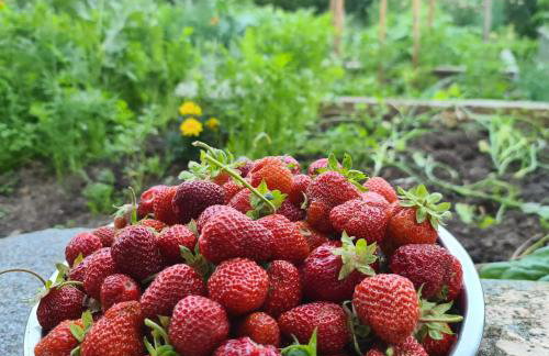 Agroturystyka „Między Polami” - Foto 23