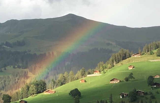 Gwunderstübli - Foto 28