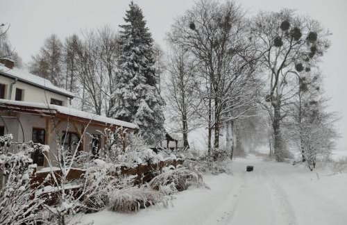 Dziki brzeg Jezioraka - Foto 42