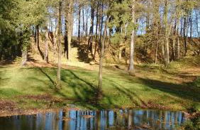 Pałac Rząsiny - Foto 13