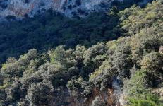 PLOMIN SKY&BAY - Foto 38