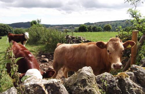 Hall Dale View near Matlock & Peak District - Photo 38