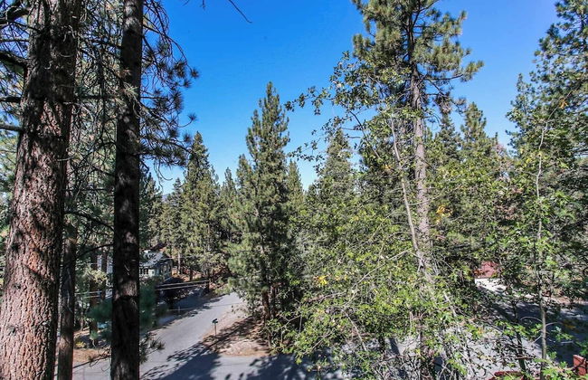 Treetop Falls - Foto 21