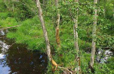 Haus Bergblick - Foto 56