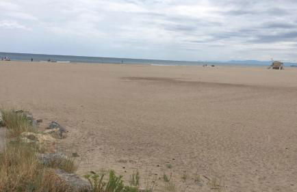 Les vagues du Sud - Photo 31