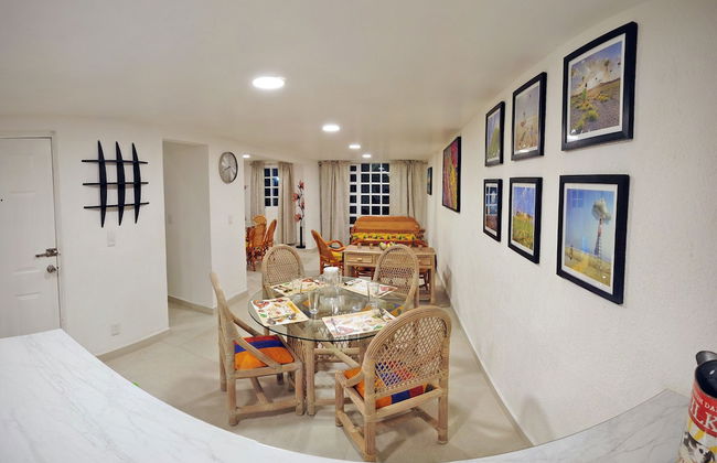 HominngBird - Foto 61