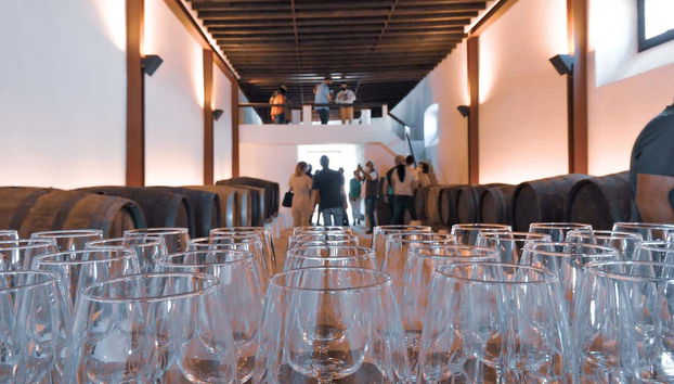 Vega de Yuco Testeina Winery Visit - Foto 4