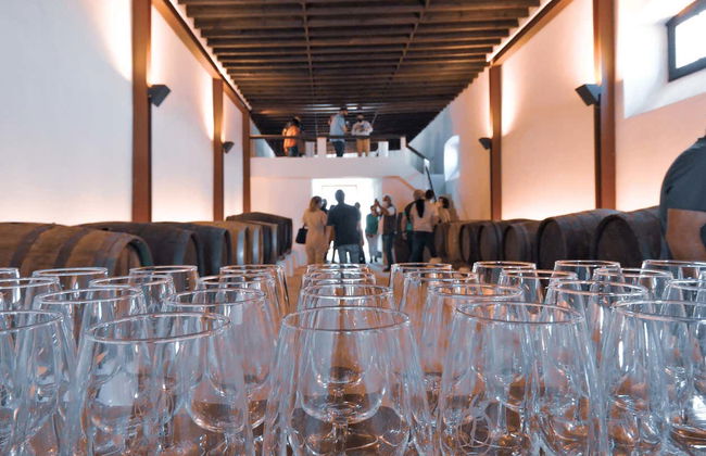 Vega de Yuco Testeina Winery Visit - Foto 4