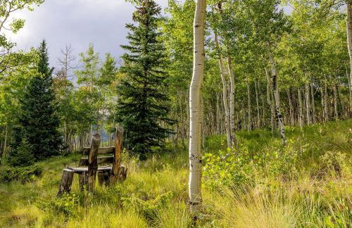 Charming Vacation Rental in the Heart of South Park near Fairplay, Colorado - Foto 38