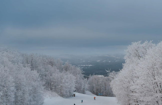 Le Chic Log Chalet Citq 241986 - Foto 42