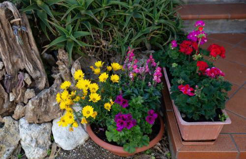 Ville Pini e Aurelia - Foto 66