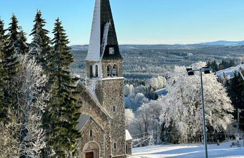 Hill41 kotlina kłodzka domki z sauną - Foto 30