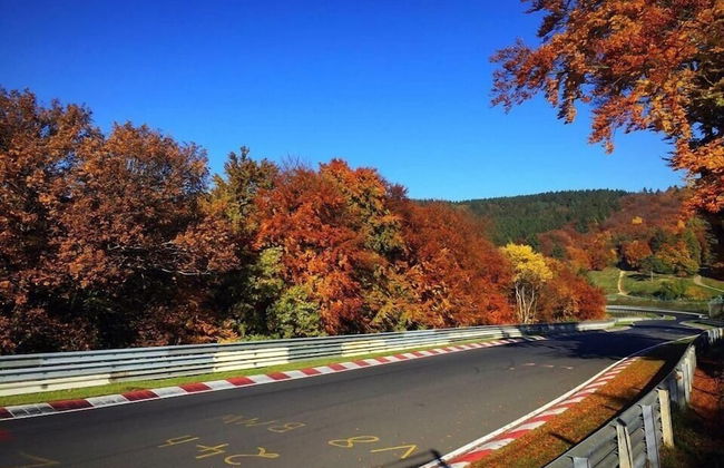 Nringrooms Exit-Breidscheid - Photo 30