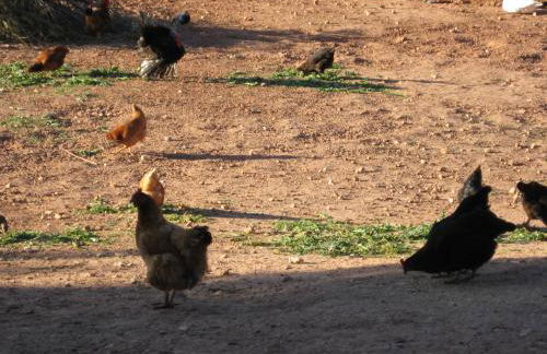 Casa Rural Los Nogales - Foto 31