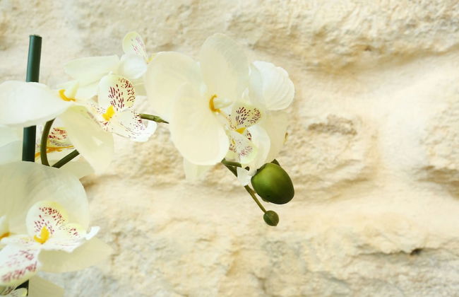 Residence Tour Eiffel Champs de Mars(Exposition 1) - Foto 22