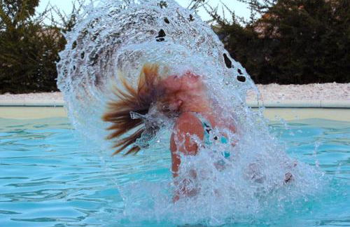 Casa Montale - Foto 6