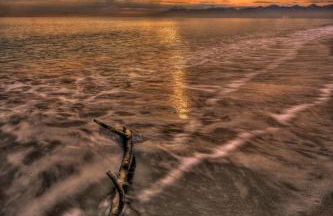 Vacanze Residence Mimose - Foto 13