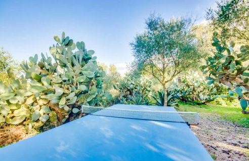 Higo Chumbo - Photo 5