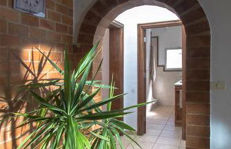 Finca Arbequina - Photo 41