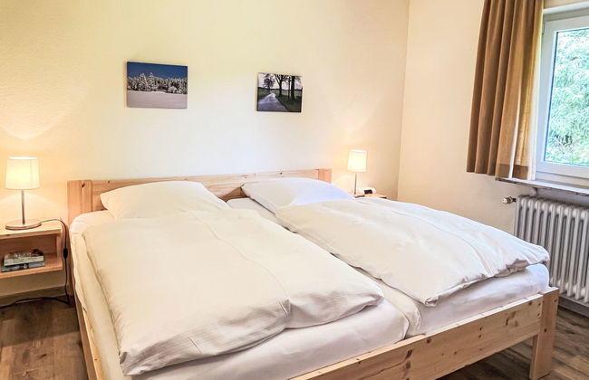 Vergissmeinnicht - Foto 20