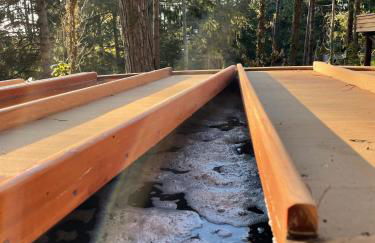 Bain de forêt - Lodges Cosy & Spa - Foto 19