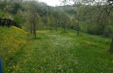 Casa intera tra le colline e le vigne del Dolcetto - Foto 25