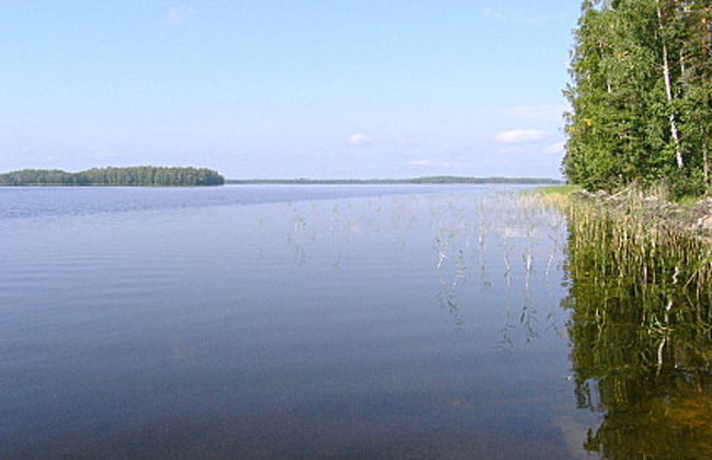 2 bedroom House in Kuopio with sauna - Photo 10