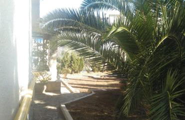 Villa Carmen - Chalet privado con piscina, jardín y barbacoa - Foto 4