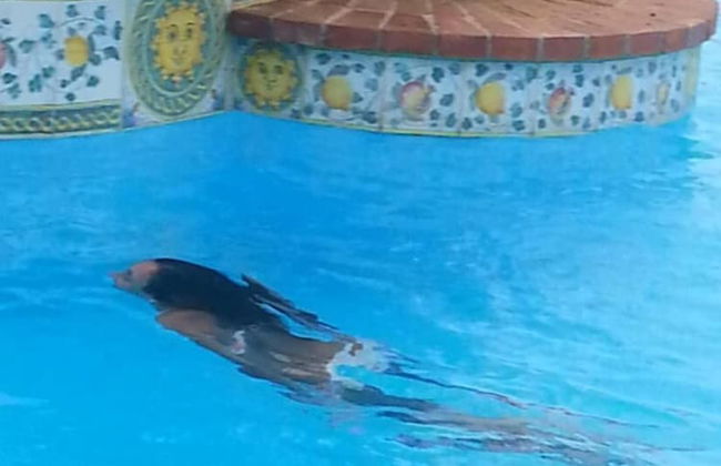 Seaside House in Rais Gerbi Residence - Photo 47