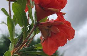 Monte de Stª Margarida - Foto 41