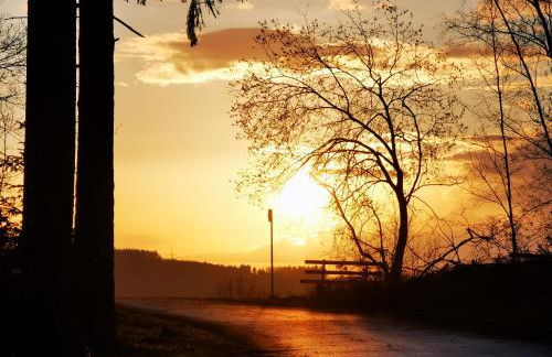 Pension 'Am Vogelherd' - Foto 35