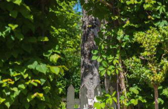 Gîte du Rouard - Foto 22