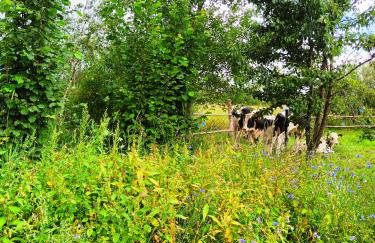 Agroturystyka "Dobre czasy" - Foto 12