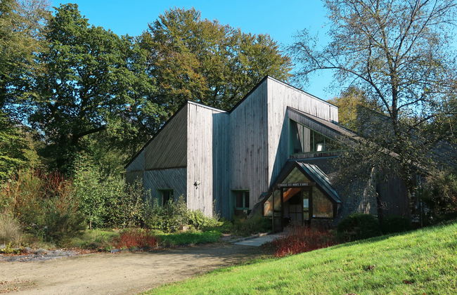 Blaue Hortensie - Foto 26