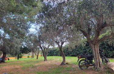 Rifugio della Pace Piano terra e Primo Piano - Photo 78