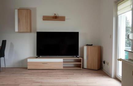 Wohlfühlen in der Schifferstadt Roßlau - Foto 7