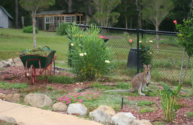 Arcadia Retreat - Foto 18