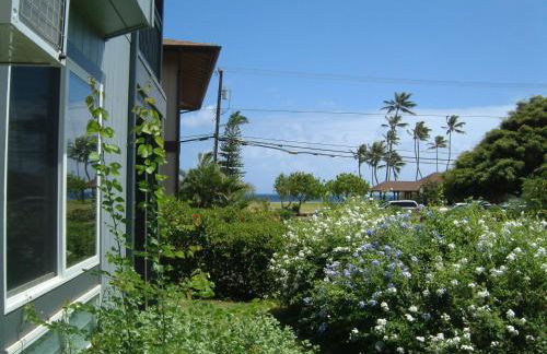 Hale Pua Villa - Seaside Studio - Foto 15