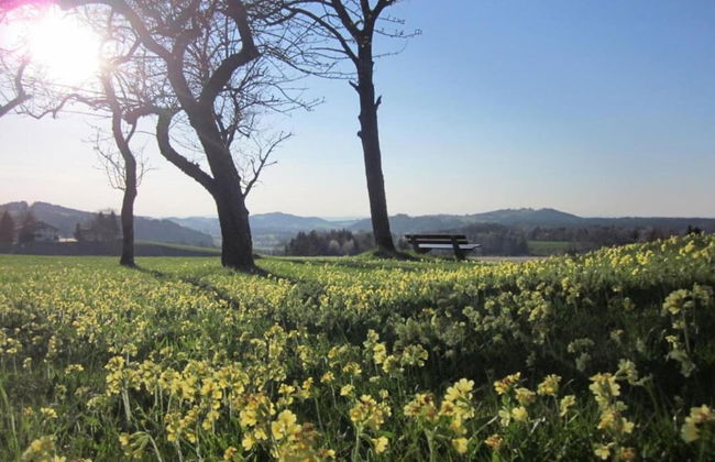 Holiday Apartment Siegsdorf in Bavaria - Foto 39