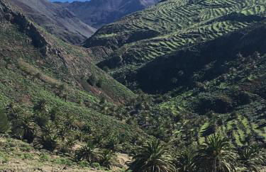 APARTAMENTO AINARA, LA GOMERA - Foto 42