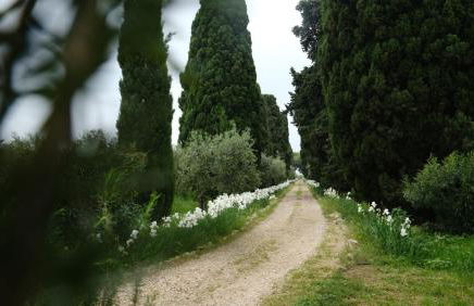 Colonna Country Home - Foto 41