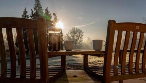 Pine Cabin Overlooking Bedgebury Forest - Photo 5