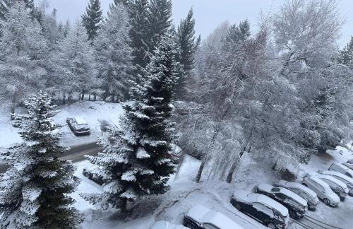 Studio cosy 4 pers, à APOLLO - Pied des pistes - SkiOpied, Casier à skis - Parking Gratuit - Domaine des Sybelles - Foto 23