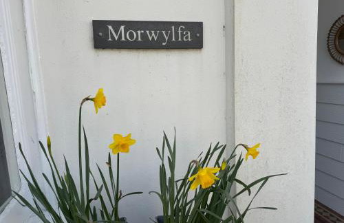 Morwylfa Borth and Ynyslas - Photo 23