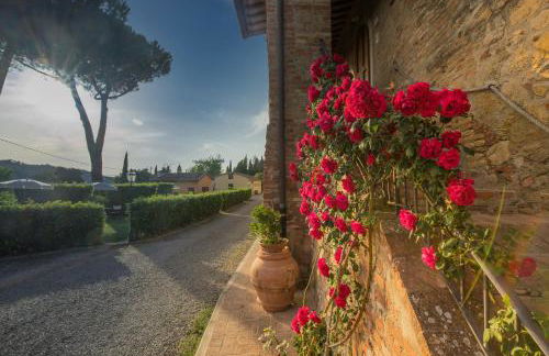 Fattoria Di Pancole - Foto 32