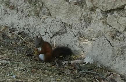 Agriturismo Il Paradiso - Foto 84